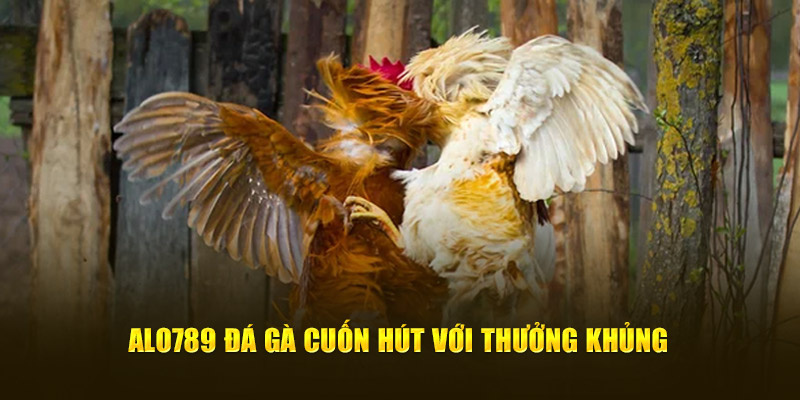 Alo789 đá gà cuốn hút với thưởng khủng